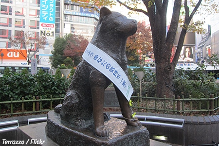 Hachiko