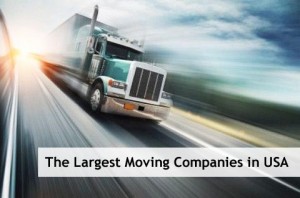 Largest movers in USA